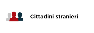 Cittadini stranieri