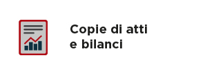 Copie di atti e bilanci