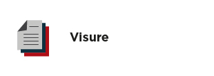 Certificati, Visure, Copie Atti e Bilanci - Visure