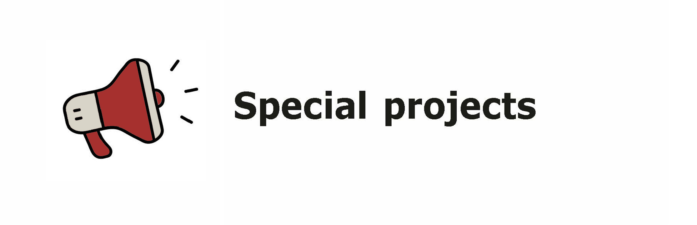 Special projects
